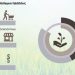 Simon-Kucher & Partners araştırdı Kâğıt ve ambalaj ürünleri pazarında ne gibi değişiklikler olacak?