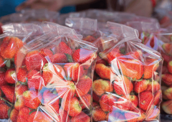 Gıdaların bozulma ve çürümesini önleyen ambalaj filmi geliştirildi