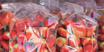 Gıdaların bozulma ve çürümesini önleyen ambalaj filmi geliştirildi