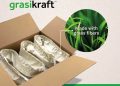 GrasiKraft™: çim liflerinden üretilen kâğıt piyasada